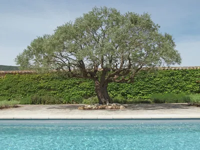 PoolOfHouse PoolOfHouse