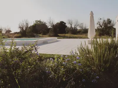 Gemeinsamer Garten