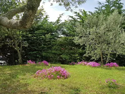 GardenSummer