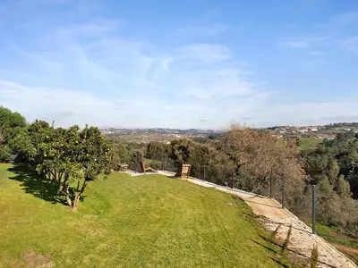 ViewSummer