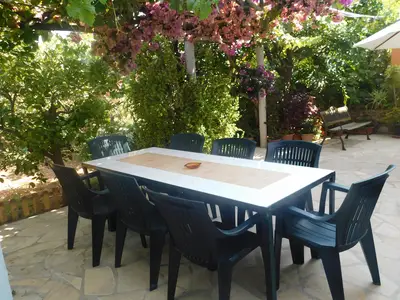 GardenSummer