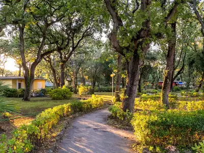 Villa für 6 Personen (43 m²) in San Vincenzo 4/10