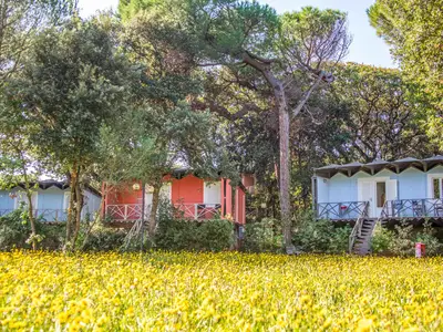 Villa für 6 Personen (43 m²) in San Vincenzo 3/10