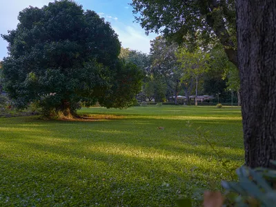 Villa für 6 Personen (43 m²) in San Vincenzo 9/10