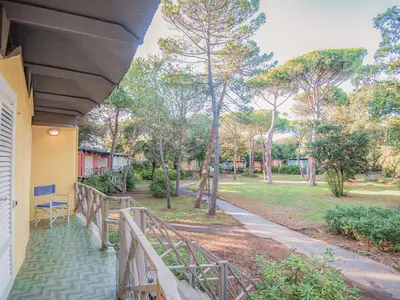 Villa für 6 Personen (43 m²) in San Vincenzo 1/10