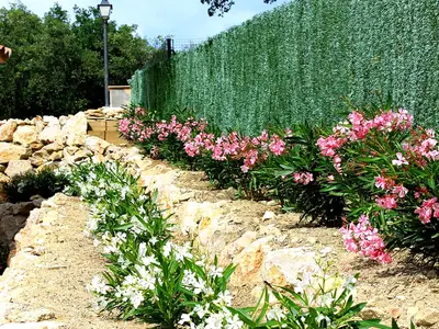 GardenSummer