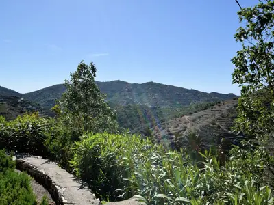 ViewSummer