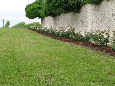 GardenSummer