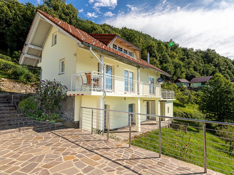 24051334-Villa-5-Semič-800x600-0