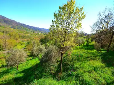 ViewSummer