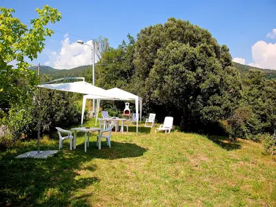 GardenSummer