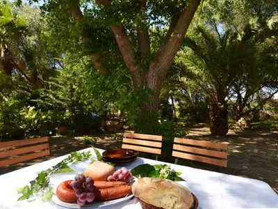 terrace