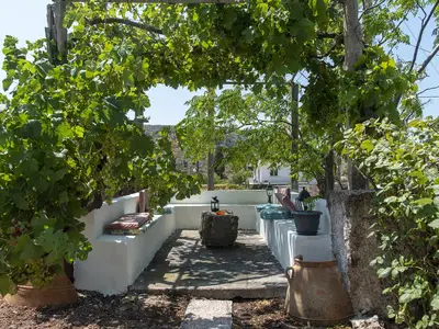 GardenSummer