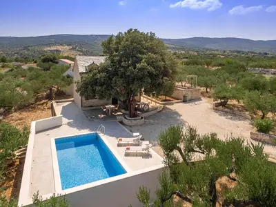 Villa für 7 Personen (90 m²) in Pučišća 8/10