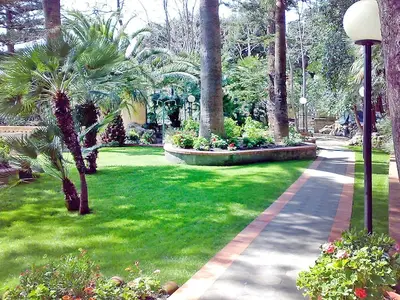 GardenSummer