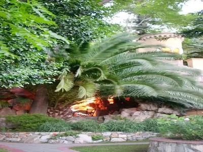 GardenSummer