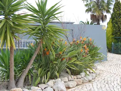 Villa für 6 Personen (150 m²) in Santa Bárbara de Nexe 8/10