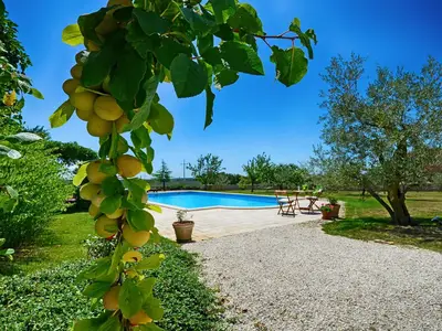 PoolOfHouse