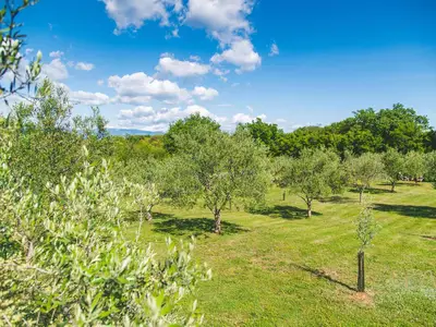 Villa für 8 Personen (190 m²) in Sveti Vid 2/10