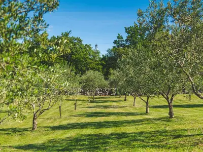 Villa für 8 Personen (190 m²) in Sveti Vid 10/10