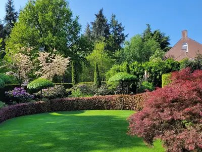 GardenSummer GardenSummer