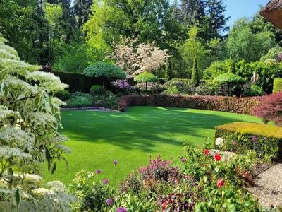 GardenSummer GardenSummer