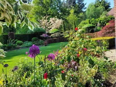 GardenSummer GardenSummer