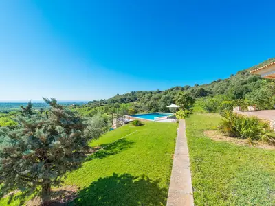 ViewSummer