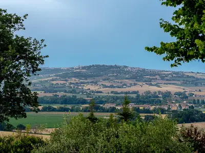 ViewSummer