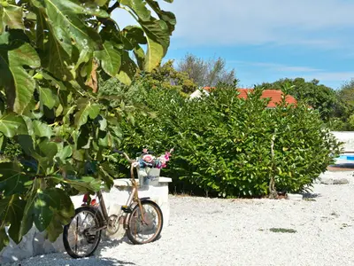 GardenSummer