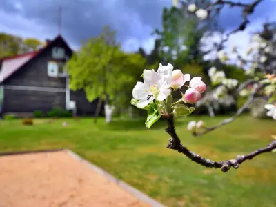 GardenSummer
