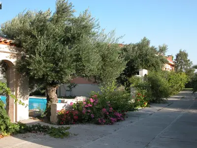 ExteriorSummer