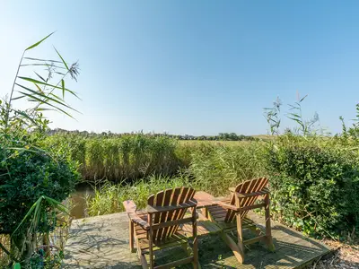 GardenSummer