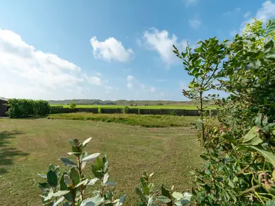 GardenSummer