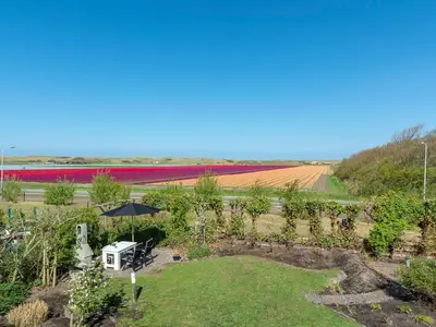 ViewSummer