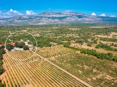 10.000 m2 großes, eingezäuntes Privatgrundstück inmitten von Weinbergen und Olivenbäumen