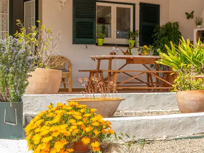 Villa für 4 Personen (22 m²) in Mercadal 6/10
