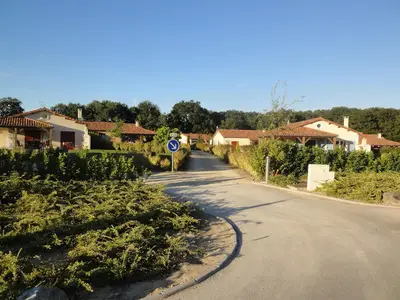 AreaSummer1KM