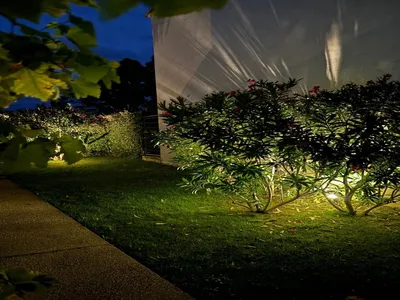 GardenSummer