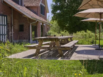Garten [Sommer]