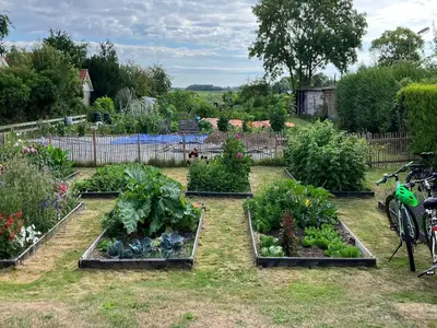 GardenSummer