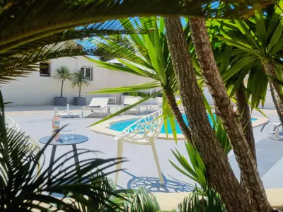 Ambiente / Nahaufnahme