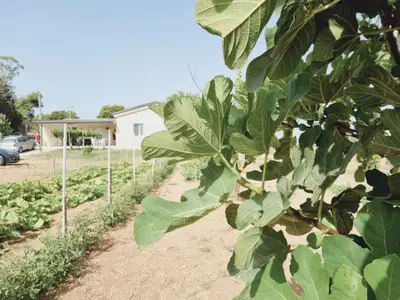 Villa für 6 Personen (120 m²) in Ovile la Marinella 10/10