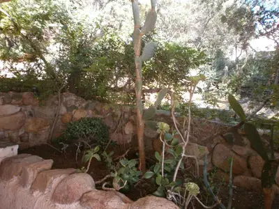 Villa für 7 Personen (160 m²) in Maracalagonis 10/10