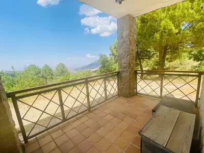 ViewSummer