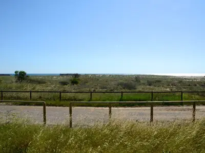 ViewSummer