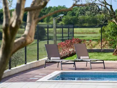 Villa für 8 Personen (264 m²) in Višnjan 5/10