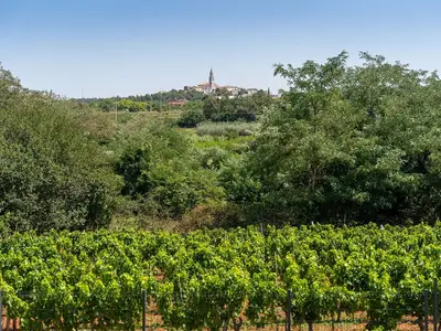 Villa für 8 Personen (160 m²) in Višnjan 10/10