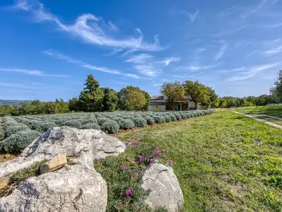 Villa für 8 Personen (240 m²) in Vižinada 3/10