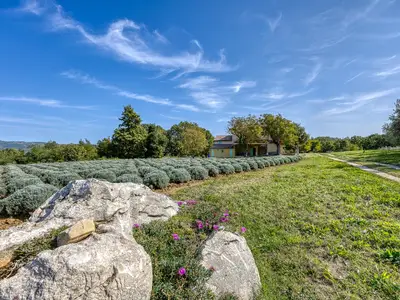 Villa für 8 Personen (240 m²) in Vižinada 2/10